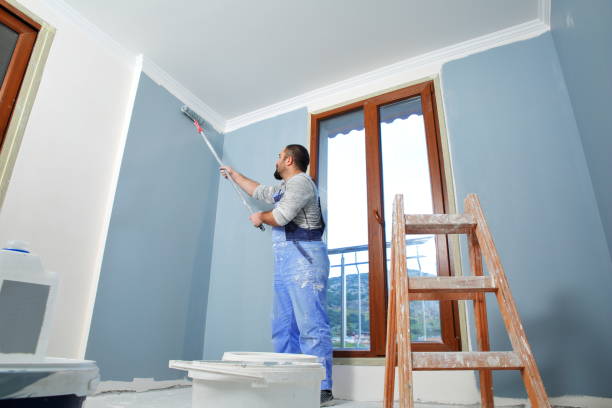 Best Touch-Up Painting  in Waconia, MN